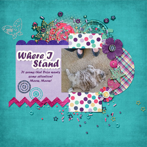Day 14 Where I Stand