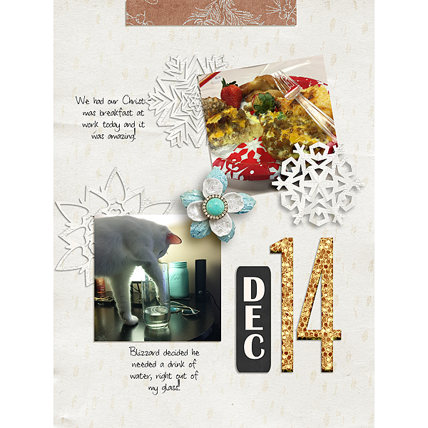 Day-14
