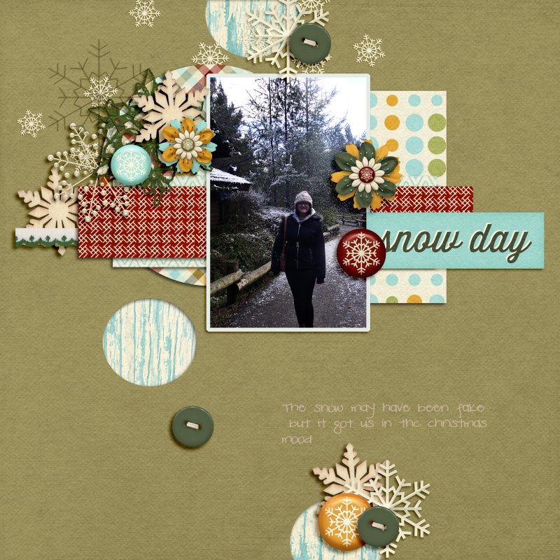 Day 15 Snow Day