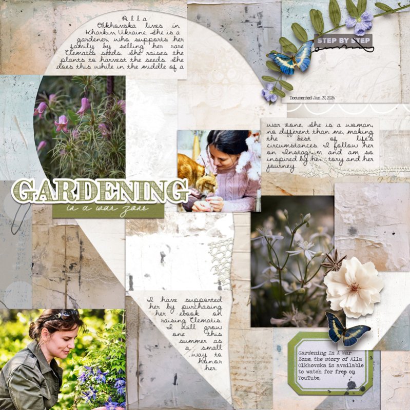 Day-16---Gardening-in-a-War-Zone