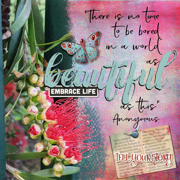 Day 16_Quote