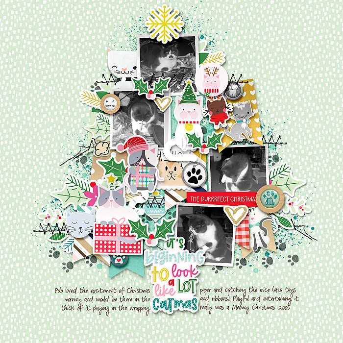 Day 19 - Catmas