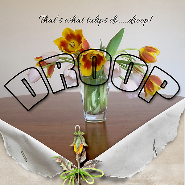 Day-19-droopy