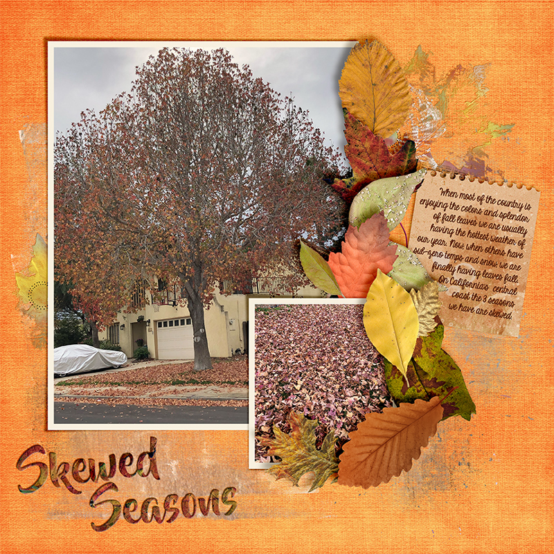 Day 19-Skewed-Seasons_web