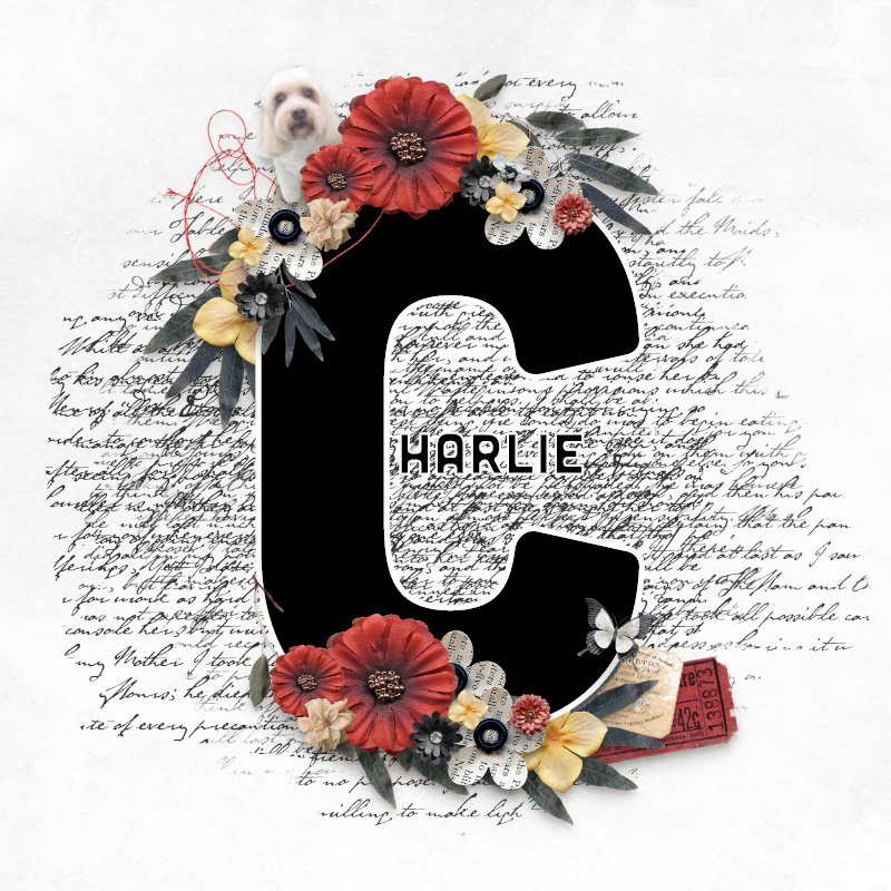 Day 2 - C is for Charlie