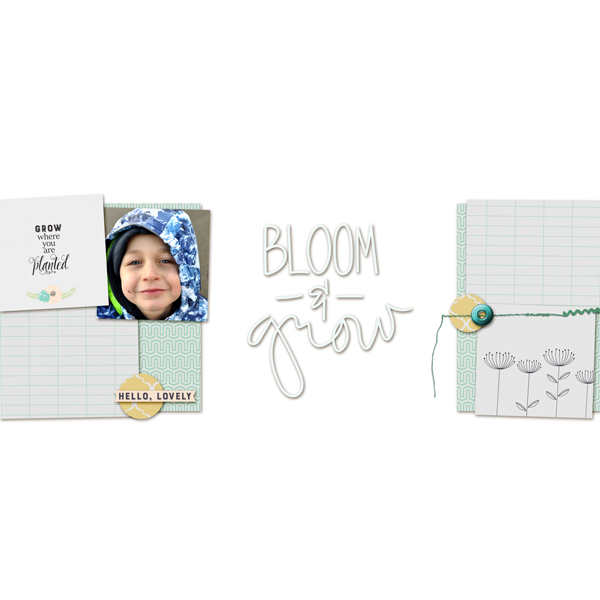 Day 20 - Bloom and grow