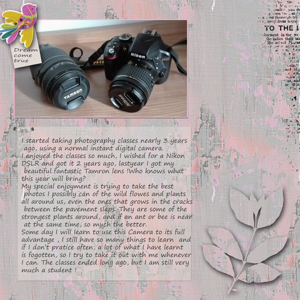 Day-20-journaling-camera