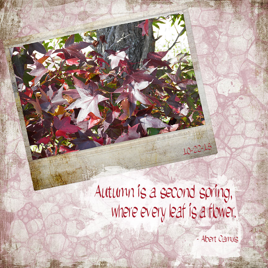 Day 20 October AJC