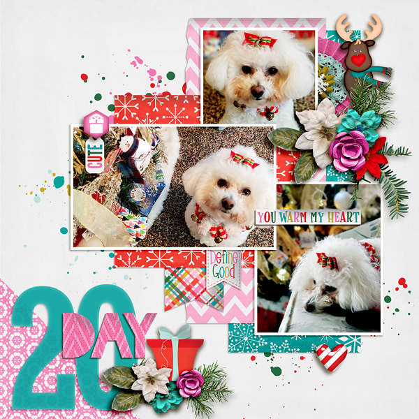 Day 20