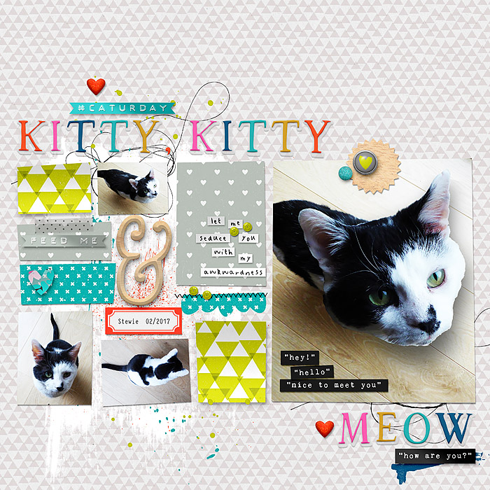 Day 22 - Kitty Kitty