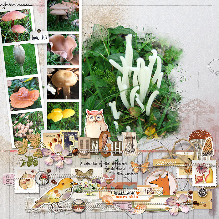 Day 23 - Funghi