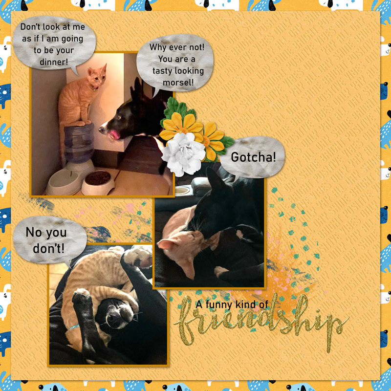 Day-24---Speech-Bubbles