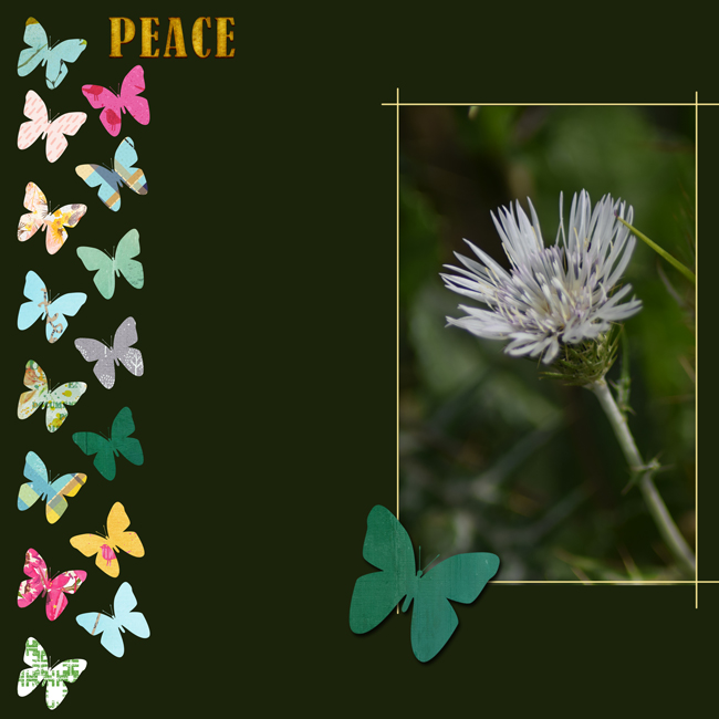 Day-27--15+1