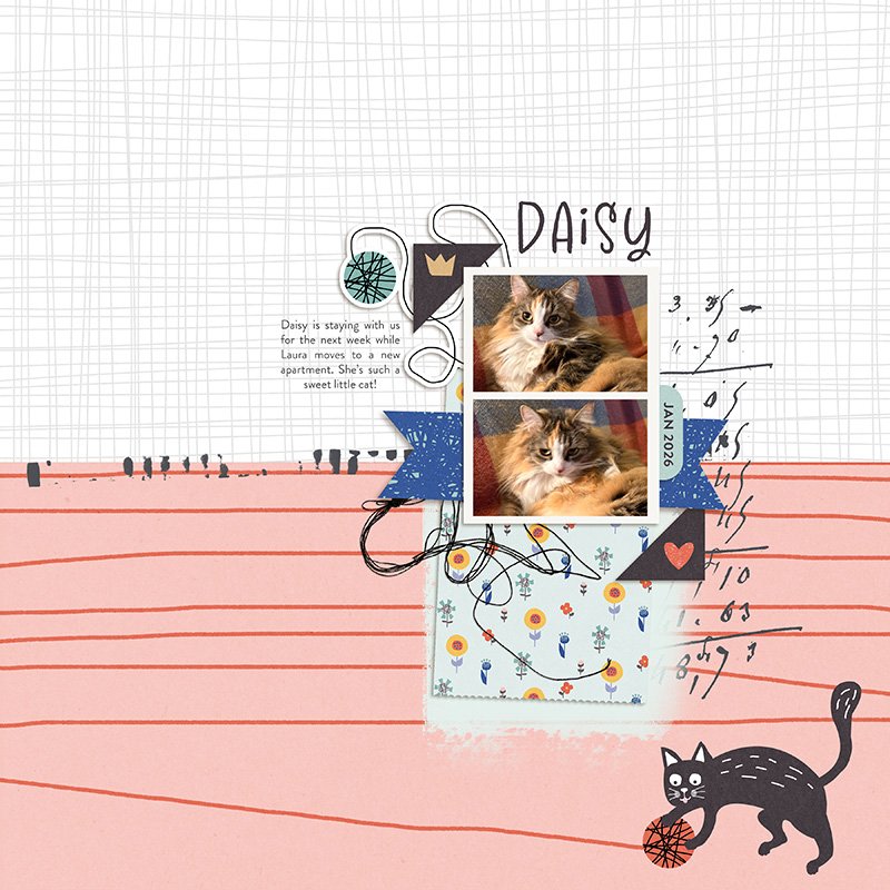 Day 27: Daisy