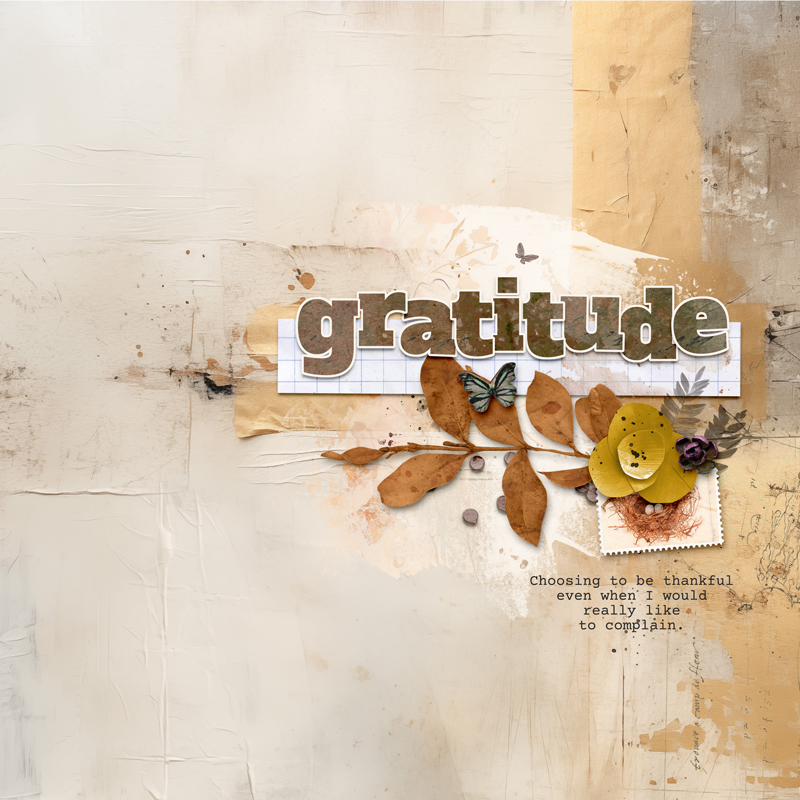Day 27 - Gratitude