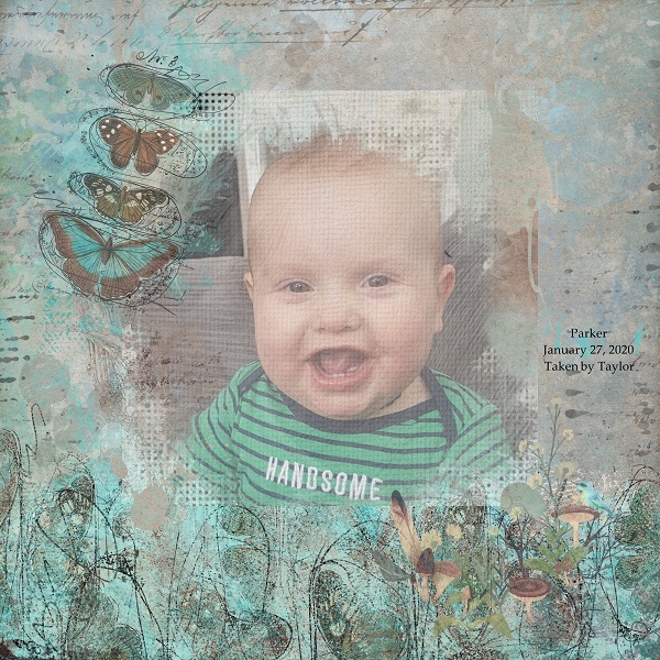 DAY 27 PAINTSTROKE PICTURE