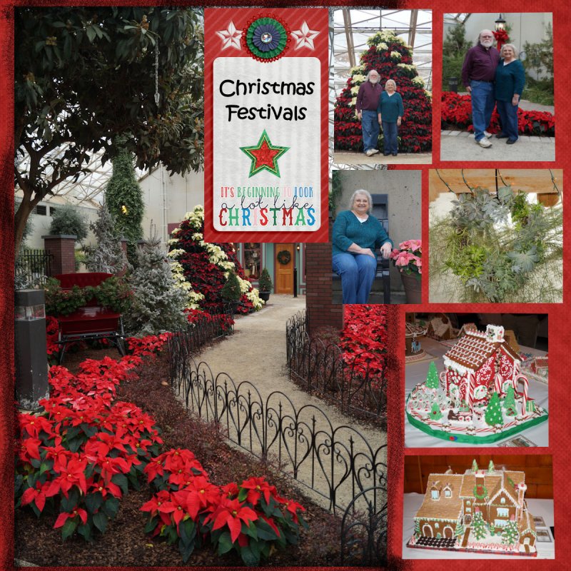 Day 3 Using Multiple Photos