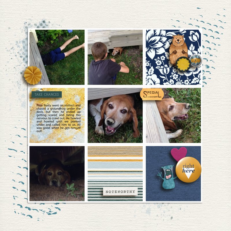 Day-3