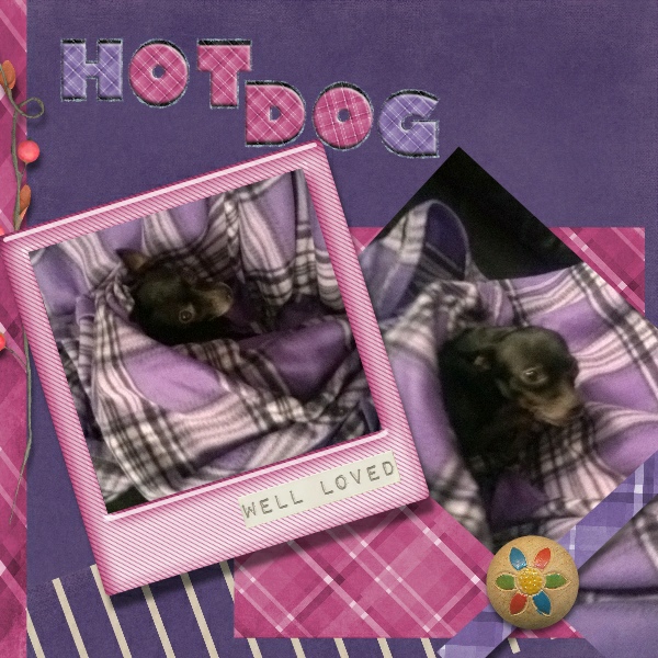 Day 4 Hot Dog