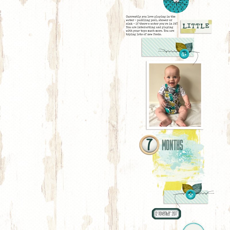 Day 4 - Roman 7 Months