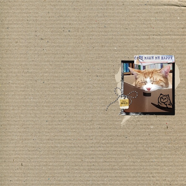 Day 5 MOC 10 Cats Make Me Happy