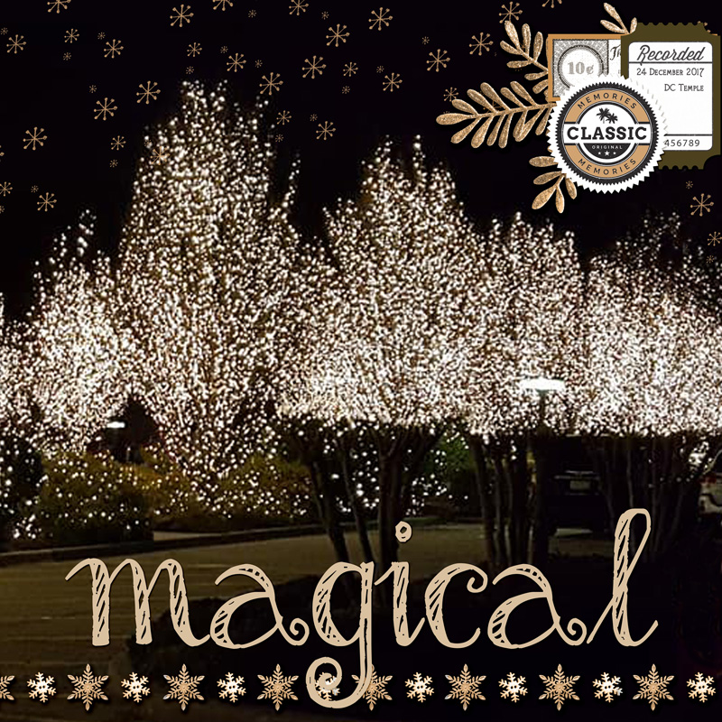 Day-5-no-people-magical