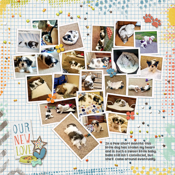 Day 7 Collage