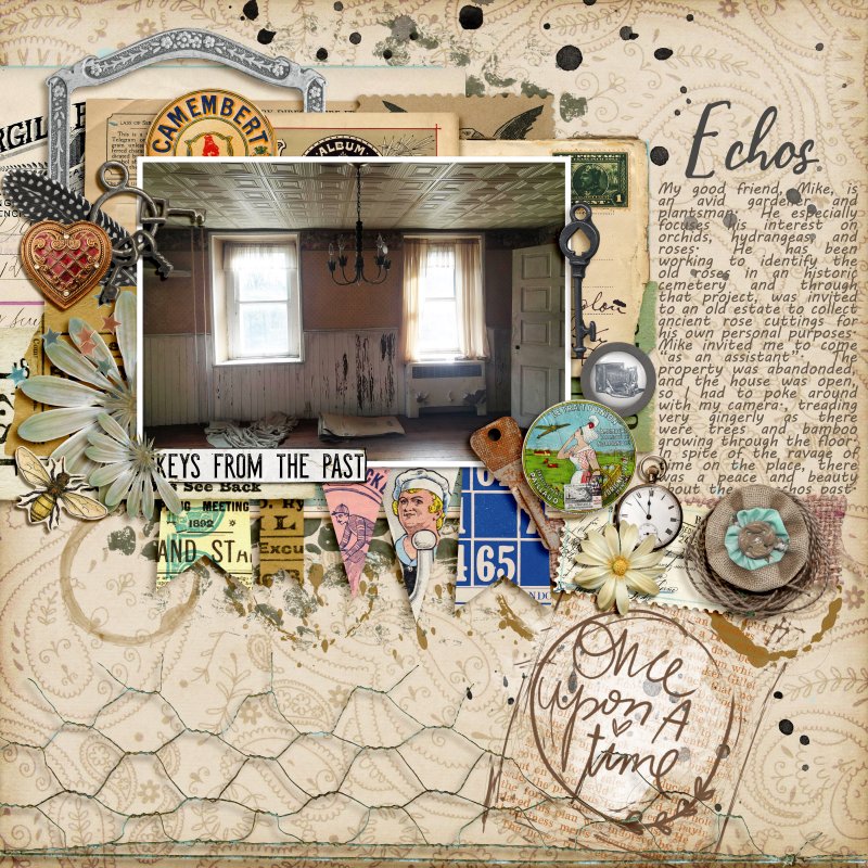 Day 8- Echos
