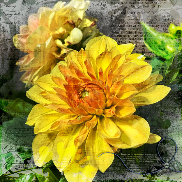 Day-8-Technique-Challenge - Make Your Own Photo Mask
