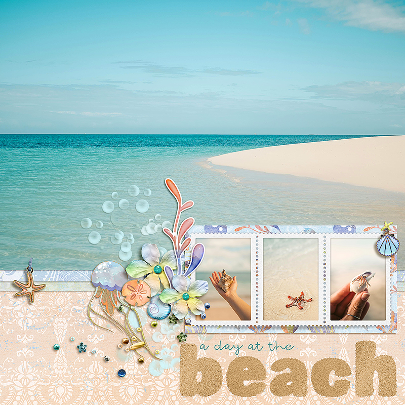 Day At The Beach