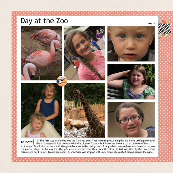 Day at the Zoo