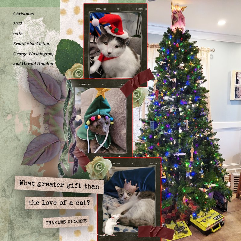 Day One Christmas Cats Love And Joy