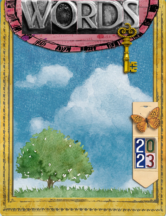 Day11COVER
