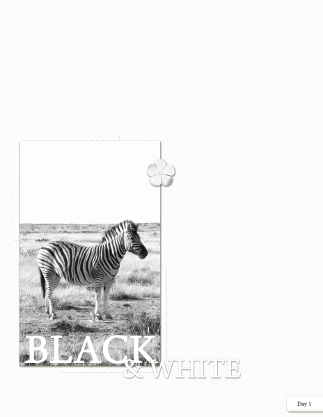 Day9