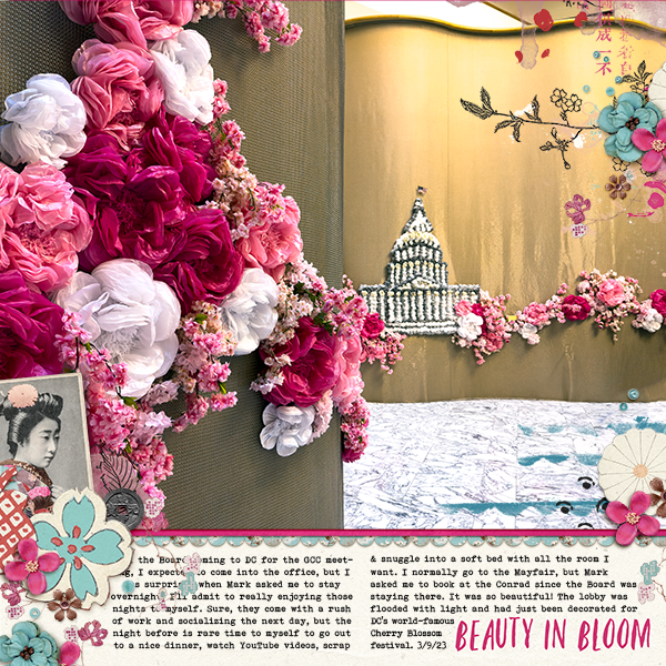 DC Cherry Blossom Installation Page 1