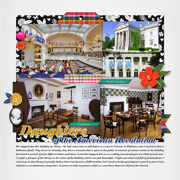 DC Trip page 41