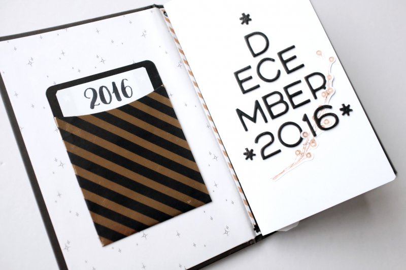 DD2016_cinback_pocketpg 1