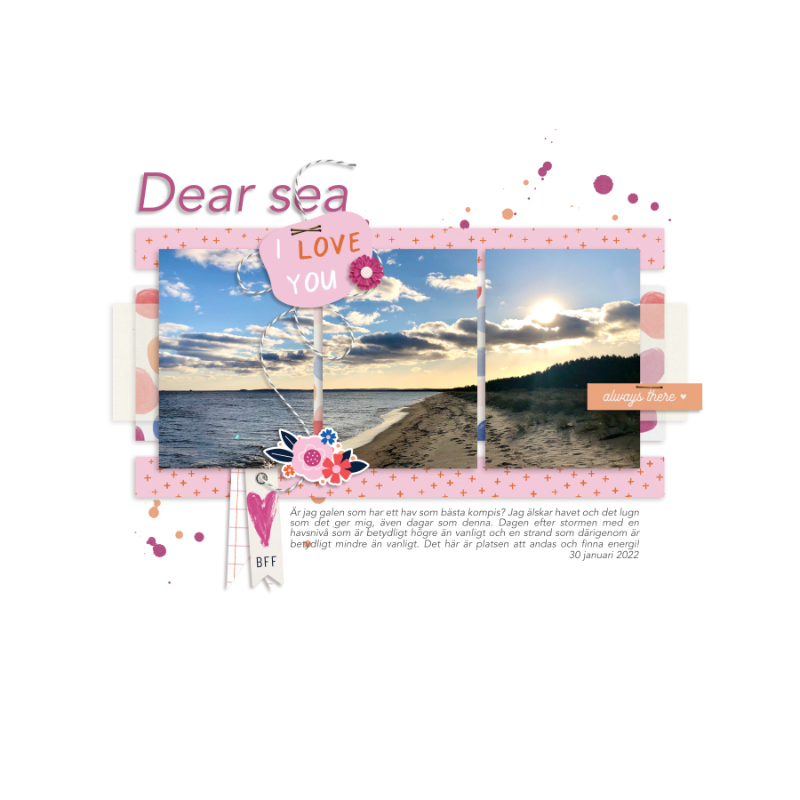 Dear Sea I Love You