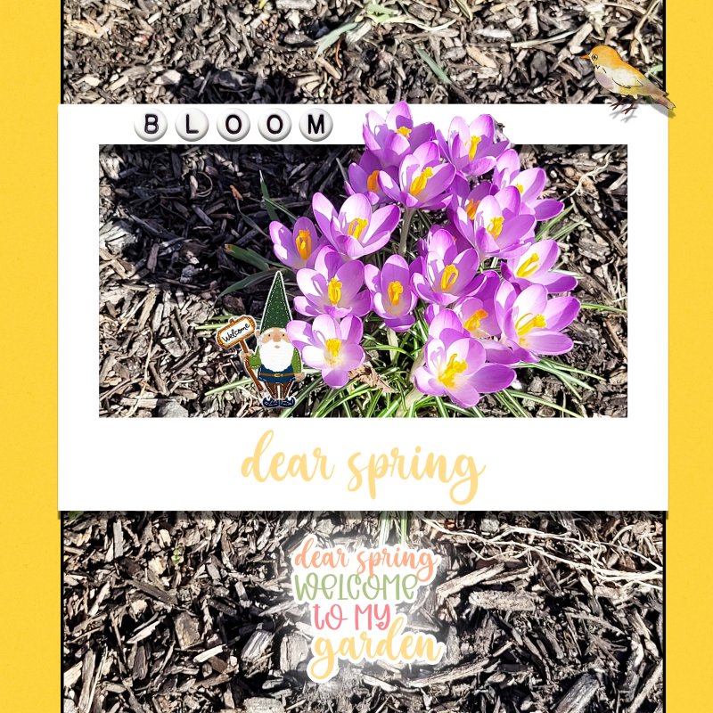 Dear Spring