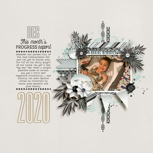 Dec 2020 Progress Report