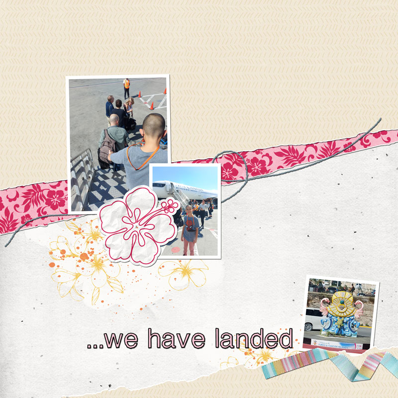 Dec 2024 TLP Monthly Template