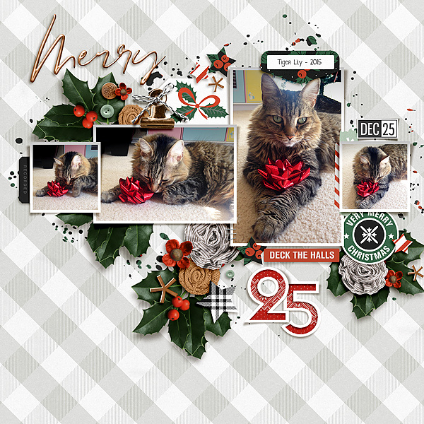 Dec 25