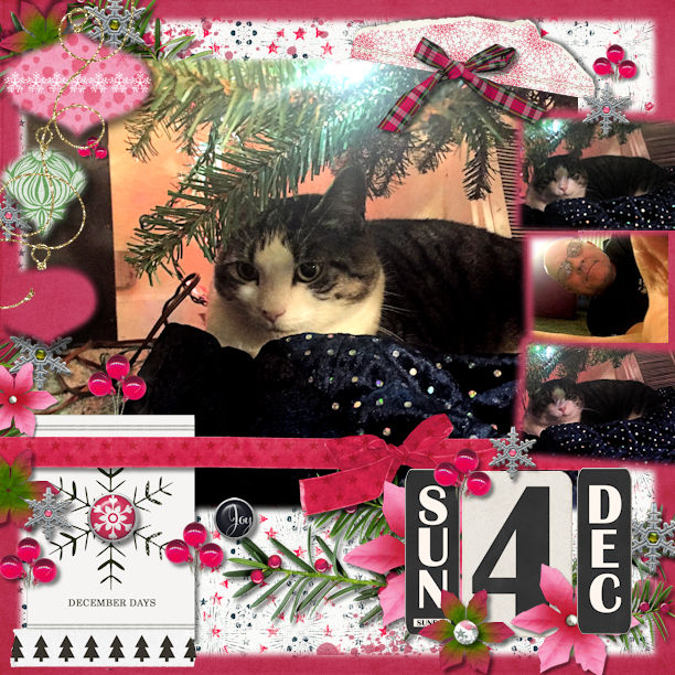 Dec 4