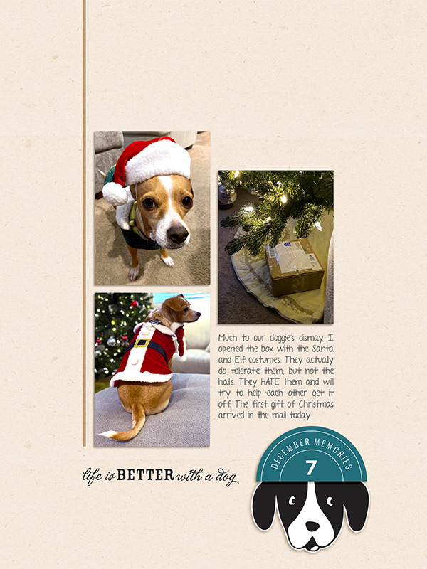 Dec 7 - Doggie Don't