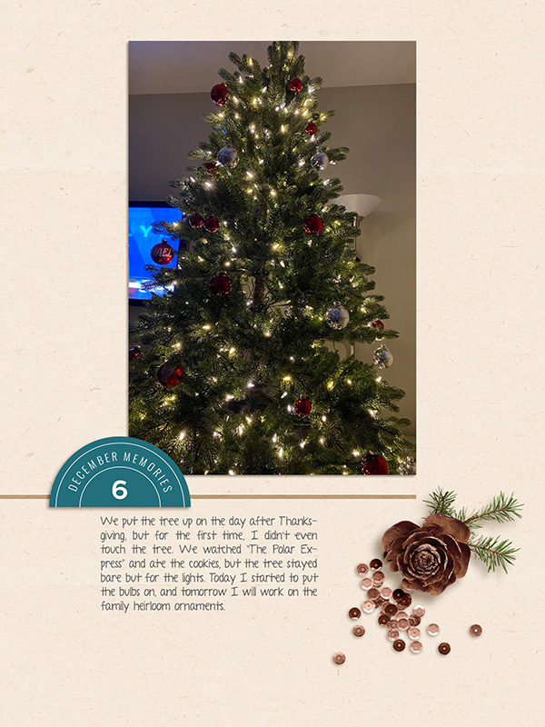 Dec_6
