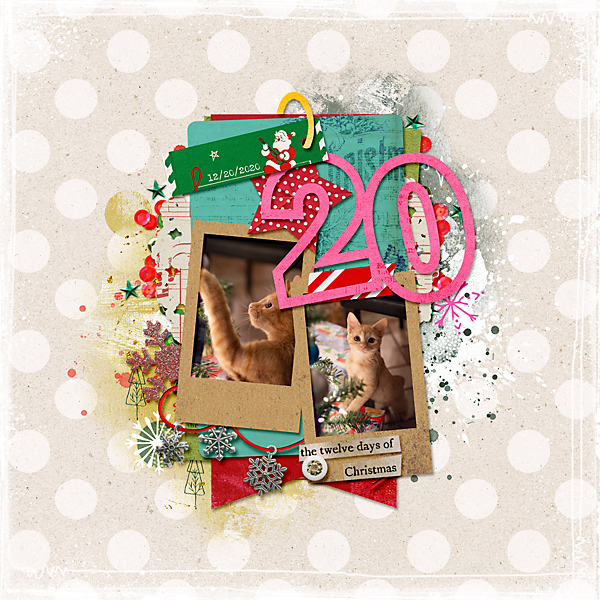 December 20