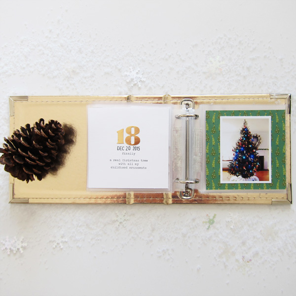 December Album - Memory 18
