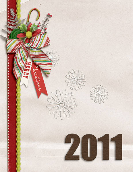 December Daily 2011 Cover