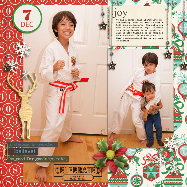 December Daily 2013-7