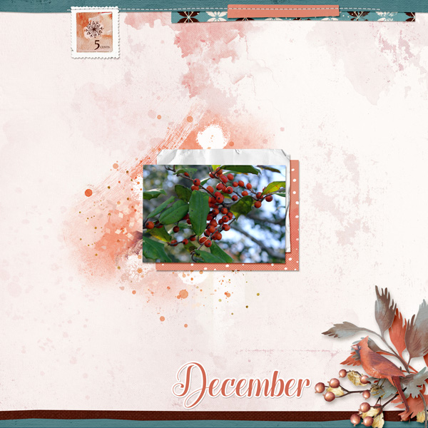 December Holly